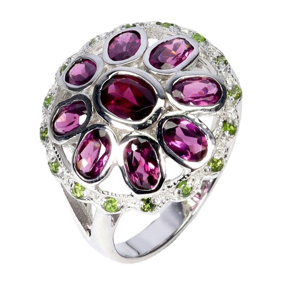 Natural Garnet and Chrome Diopside in 925 Sterling Silver Ring Size 8